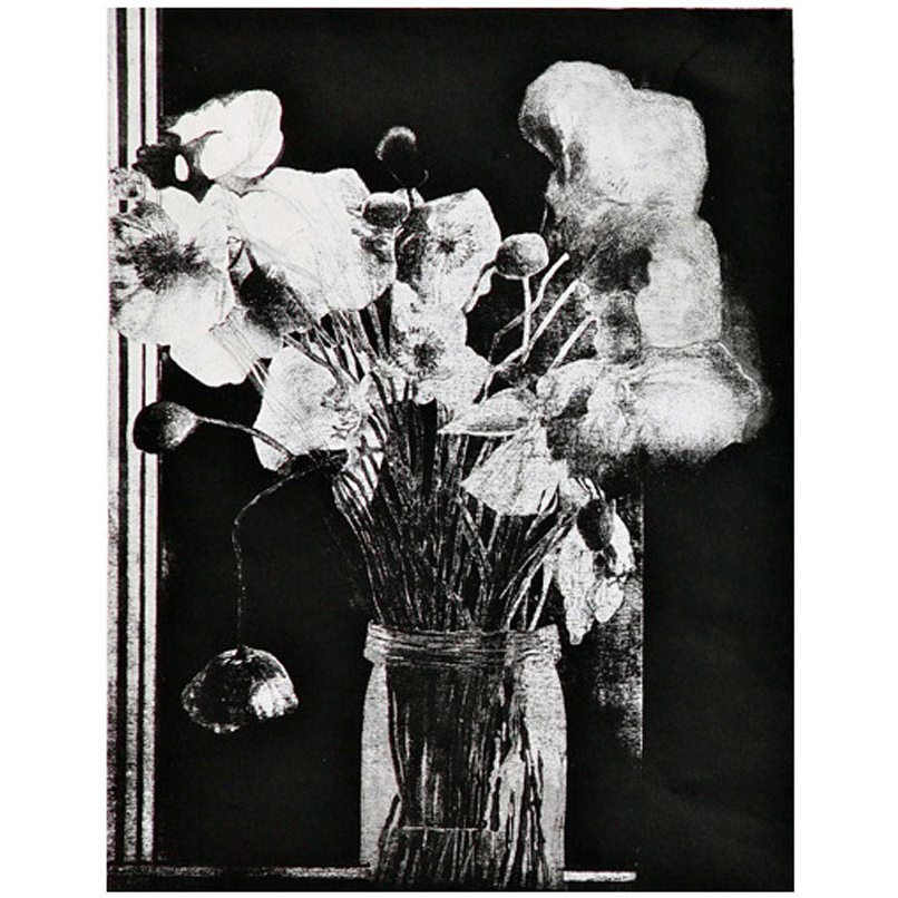 Graham Marchant | Etchings available | Shop Artsite Online | Artsite Galleries