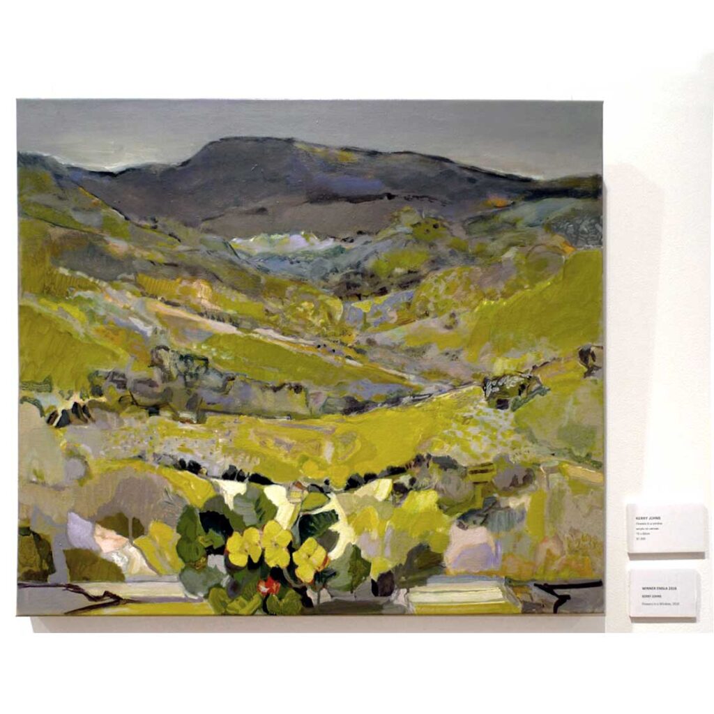 Kerry Johns | Winner | 2016 EMSLA Art Award | Coffs Harbour Regional Gallery.