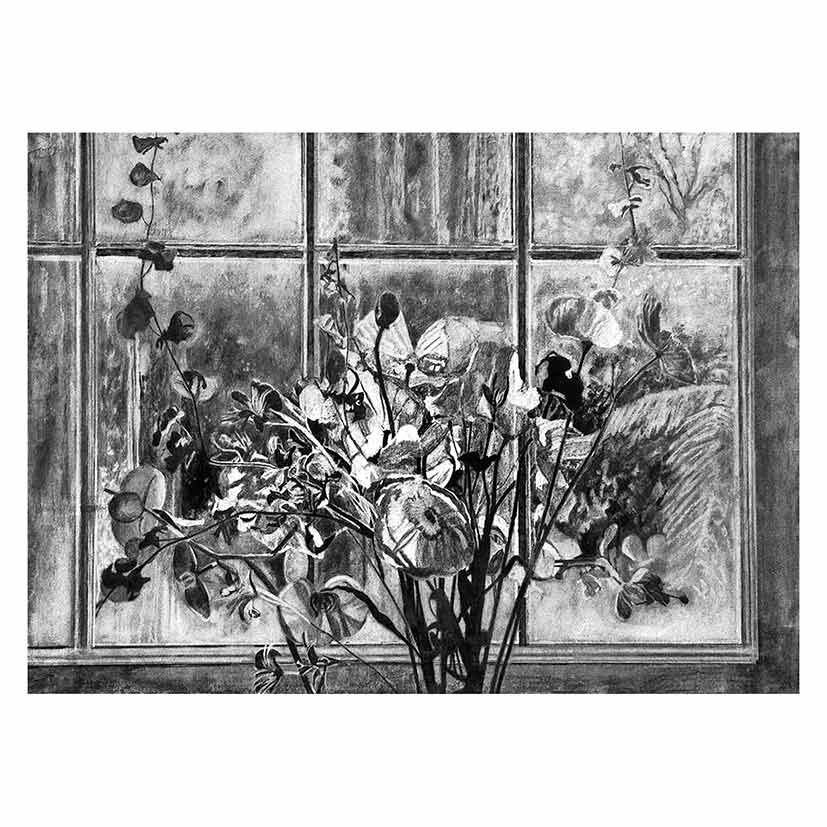 Graham Marchant | Morning Light | Finalist | 2017 Kedumba Drawing Award | Orange Regional Gallery